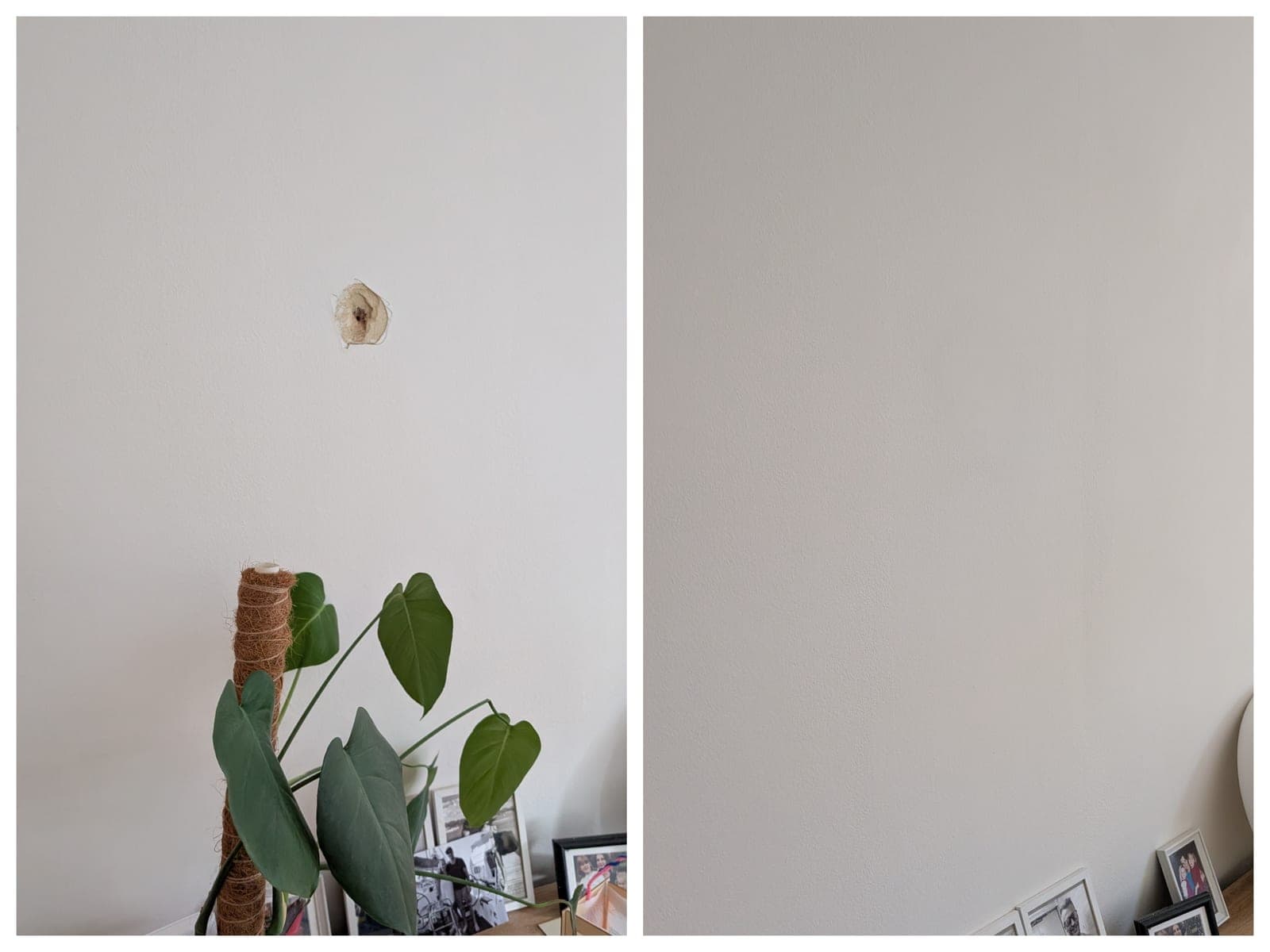 Bohrlöcher spachteln Wand reparieren Handwerker Wien